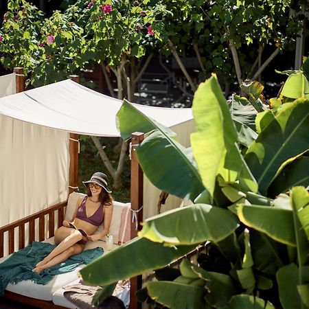 Nissi Park Hotel Aya Napa Dış mekan fotoğraf